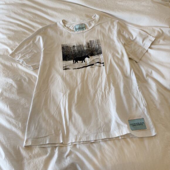 Calvin Klein x Andy Warhol Horse Graphic T-Shirt White Size XL Limited Edition - Picture 1 of 5
